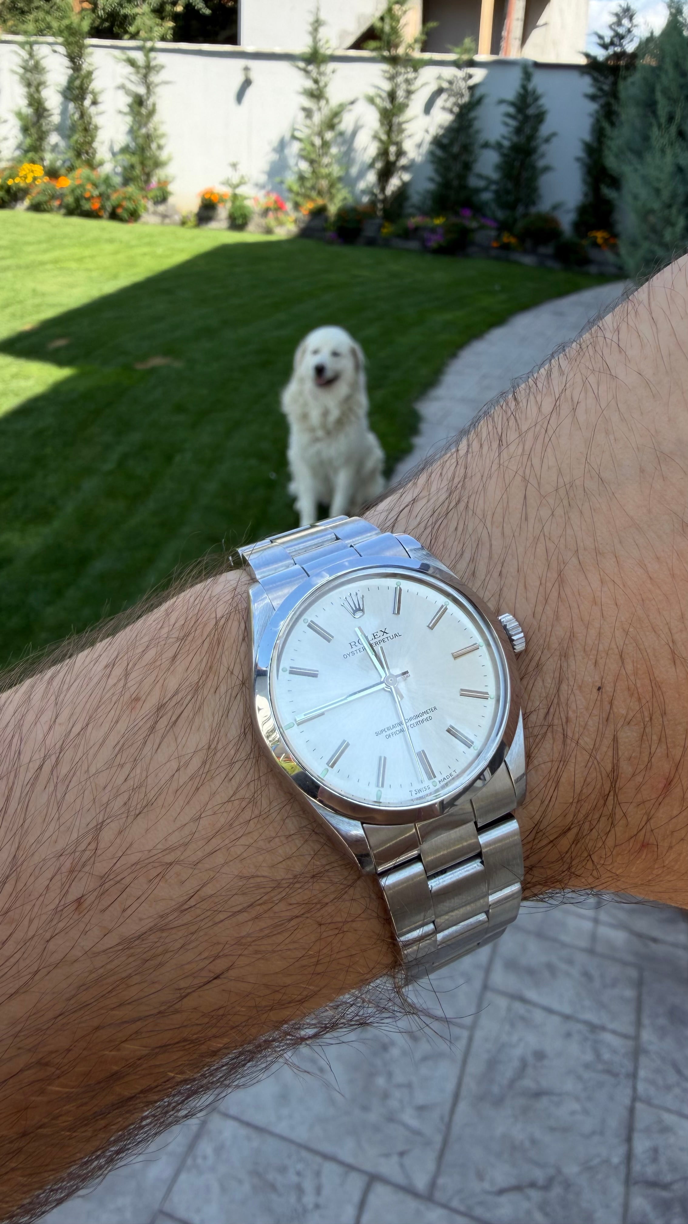 Rolex Oyster Perpetual Ref. 1002 “Superlative Chronometer” – 1988 | Full Set( Certficat de calitate si garantie) .
